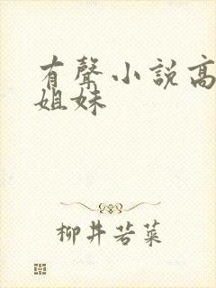 有声小说高树三姐妹