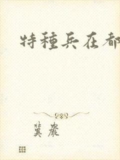 特种兵在都市