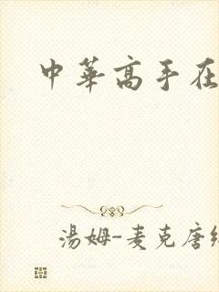 中华高手在异世封面