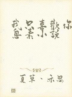 我只喜欢你的信息素小说