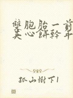 双胞胎一前一后夹心饼干年下封面