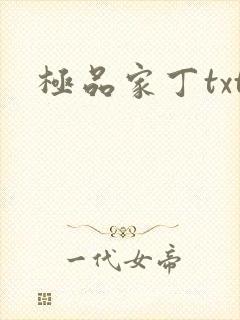 极品家丁txt