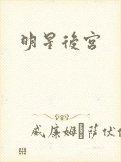 明星后宫