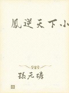 凤逆天下小说封面