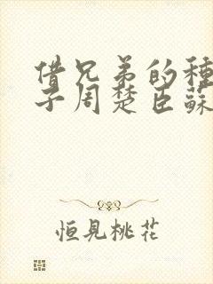 借兄弟的种生孩子周楚臣苏糖封面