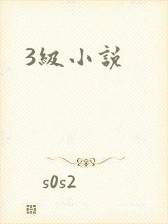 3级小说