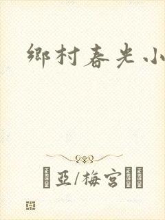 乡村春光小说封面