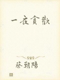 一夜贪欢封面