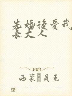 先婚后爱我的市长大人