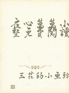 夜心万万小说完整免费阅读全文