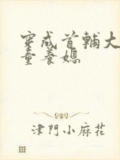 穿成首辅大人的童养媳封面