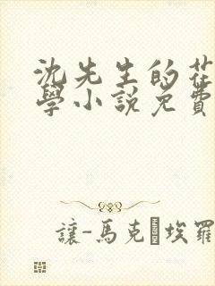 沈先生的花式教学小说免费