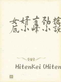 女婿有劲枪枪到底小峰小说