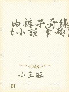 内裤子奇缘txt小说 笔趣阁