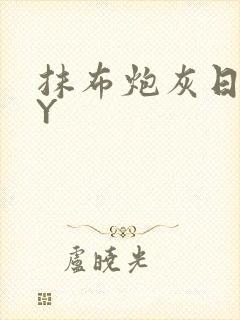 抹布炮灰日记BY