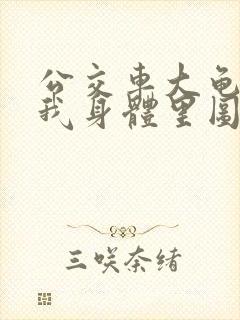 公交车大龟廷进我身体里图封面