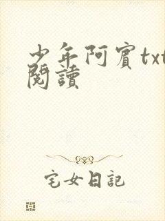 少年阿宾txt阅读封面
