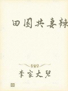 田园共妻辣