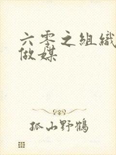 六零之组织给我做媒