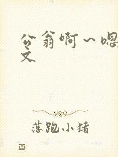 公翁啊～嗯啊h文