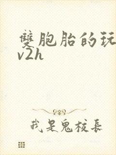 双胞胎的玩具1v2h