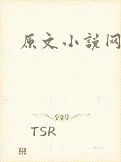 原文小说网