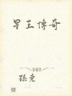 星王传奇