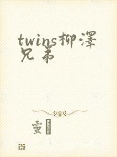 twins柳泽兄弟