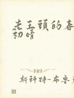 老王头的春天林初晴