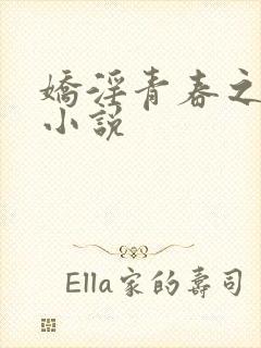 娇淫青春之放纵小说封面