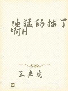 他猛的插了进去啊H