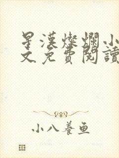 星汉灿烂小说全文免费阅读