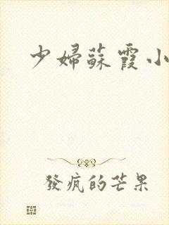 少妇苏霞小说封面