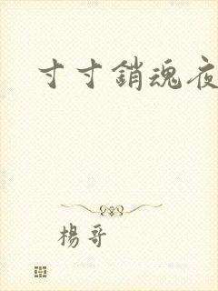 寸寸销魂夜春光