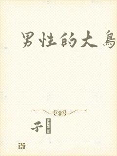 男性的大鸟