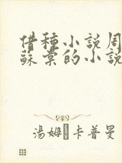 借种小说周楚臣苏棠的小说