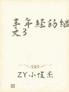 丰年经的继拇中文3