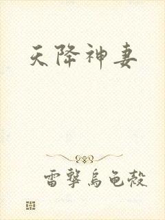 天降神妻