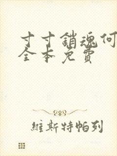 寸寸销魂何生祥全本免费