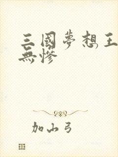 三国梦想王元姬无惨
