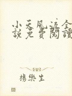 小天风流全集小说免费阅读