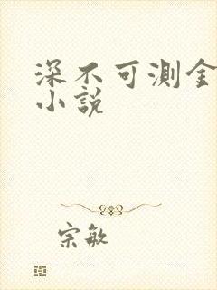 深不可测金银花小说