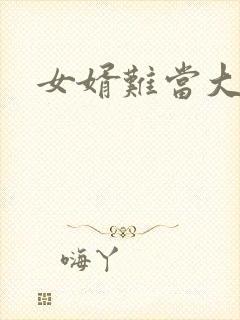 女婿难当大结局封面