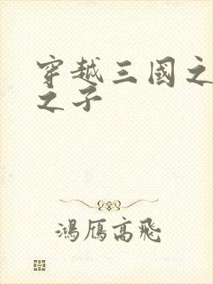 穿越三国之袁绍之子