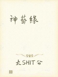 神艺缘