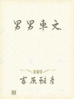 男男车文封面