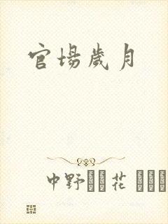 官场岁月