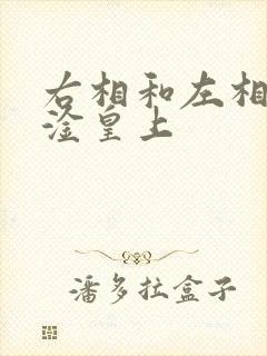 右相和左相一起淦皇上