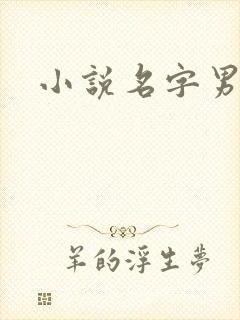 小说名字男生
