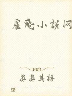 卢飞小说网封面